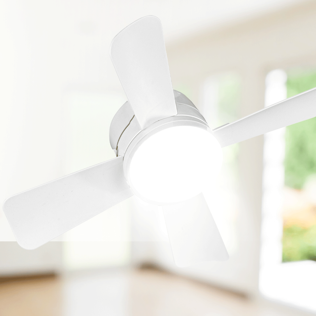 socketfan-animated-square.gif__PID:97cb9a2e-961b-4200-9541-0f53c673acff